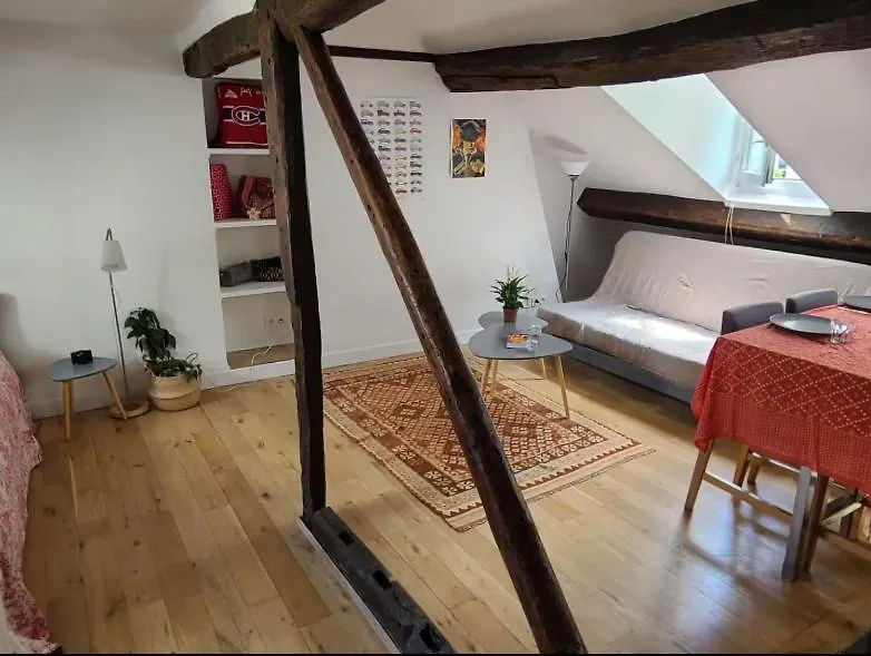La Grande Chaumiere Apartment Paris